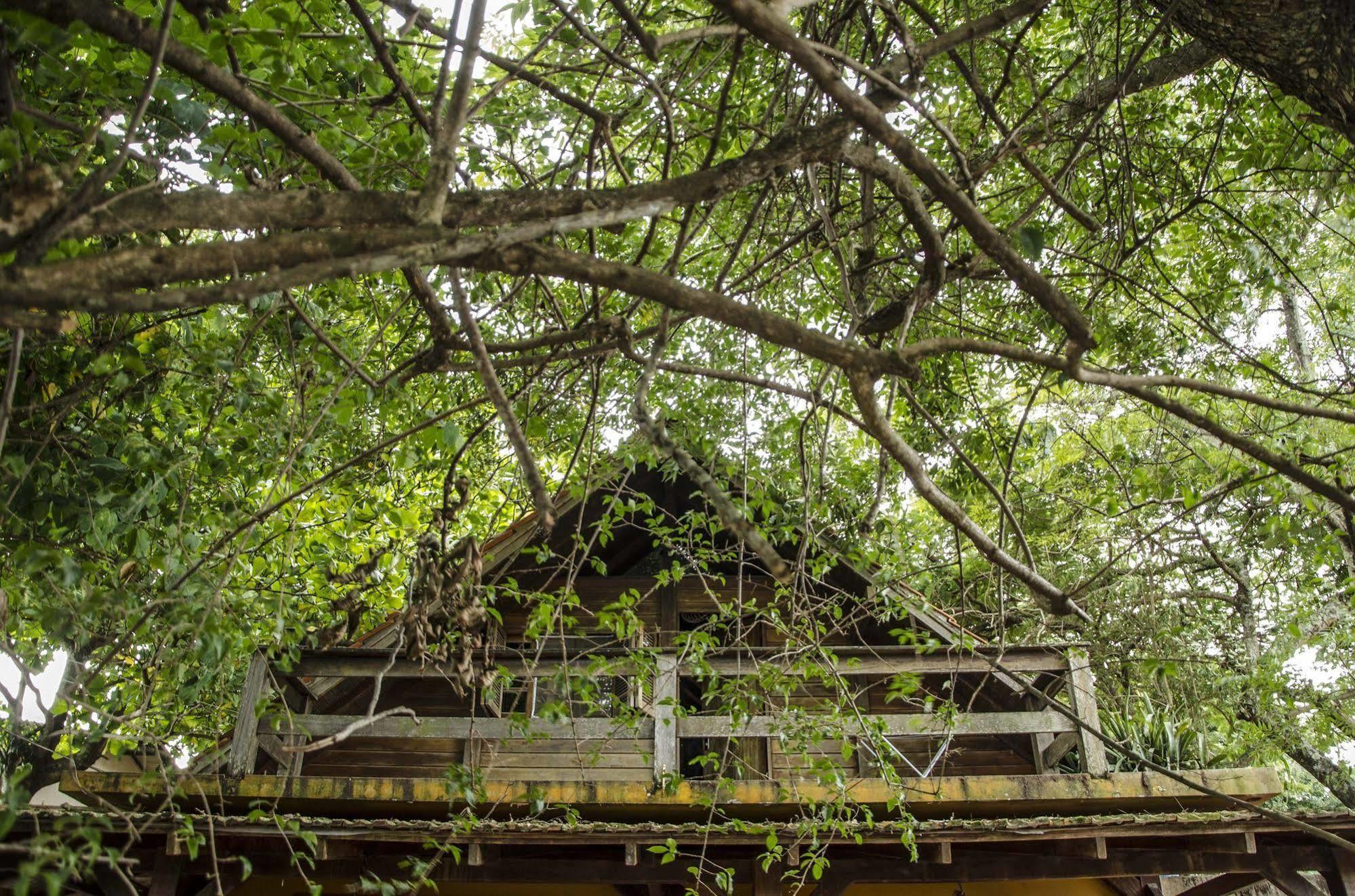 Sagui Hostel Florianópolis Exteriör bild